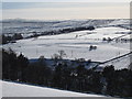 Snowy West Allen Dale near Nether Harsley