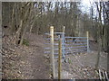 Kissing gate in Trosley Country Park