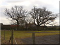 Oaks at Home Farm