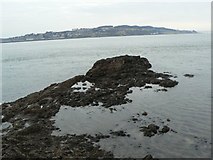 NO4630 : Broughty Rocks by James Allan