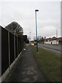 Lamppost in Manor Road