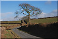 Minor road near Bryngwyn farm