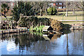 Croydon:  Duck House at Waddon Ponds