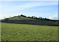 ST6460 : 2010 : Barrow Hill west of Farmborough by Maurice Pullin