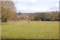 Daventry: The Inlands playing field