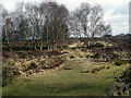 A path across the heath in Sutton Park