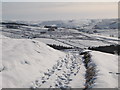 Snowy track above Mount Pleasant