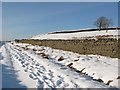 Snowy track and pastures above Spring House