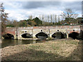 16th century bridge over the River Tas