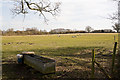 Field east of West Horton Farm