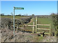 The Gloucestershire Way between St. Briavels and Bream