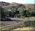 Giraffes, Belfast Zoo