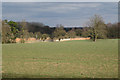 Garden walls, Old Manor Farm, Haseley