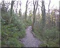 Footpath in Dingle woods, Colwyn Bay