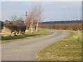 Lane to Lodge Lane Farm