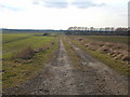 Farm track off Beggar Hill