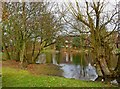 Pond on Westfield Common