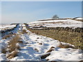 Snowy track and pastures above Spring House (2)