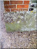 ST9117 : Bench Mark, Ashmore by Maigheach-gheal