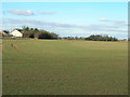 Farmland, Caythorpe