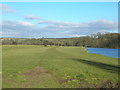 Bridleway beside River Trent