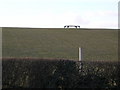 Farmland North of Spital Farm