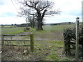 Bridleway to Shirrall Hall Farm