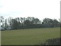 Farmland near Arnold Lodge