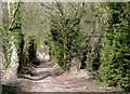 Bridleway to Castle Hill, Kingsford, Worcestershire