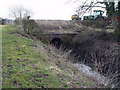 Small Bridge Near Stanley Farm