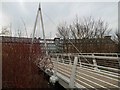 Footbridge over the River Wear to Framwelgate waterside, Durham