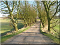 Track to Ramsdale House Farm