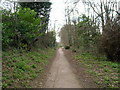 Footpath beside disused railway