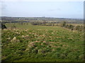 N9560 : Landscape from Skreen Hill, Co Meath by C O'Flanagan