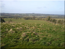 N9560 : Landscape from Skreen Hill, Co Meath by C O'Flanagan