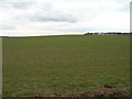 SK6641 : Farmland off Oatfield Lane by JThomas
