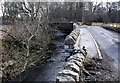 Bridge over the Avon Burn