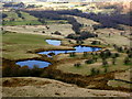 Fish ponds below Cown Edge