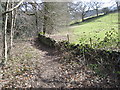 Footpath in Rivelin Valley Nature Reserve