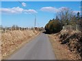 Road north towards Llecheiddior-ganol