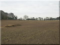 Farmland beside the A60