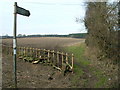 Footpath to Papplewick