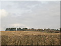 Farmland off  Longdale Lane