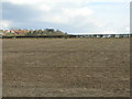 Farmland near Blidworth