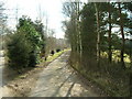 Track to Lurcher farm