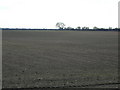 Farmland near Farnsfield