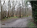 Footpath heading  from St Bartholomew, Egdean