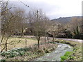 River Swift, Hurstbourne Tarrant, Hampshire