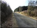 C1905 : Road at Castletorrison by Kenneth  Allen