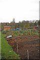 Grey Towers Allotments
